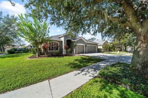 5923 TEALWATER PLACE, LITHIA, FL 33547 Sold 02/18/25