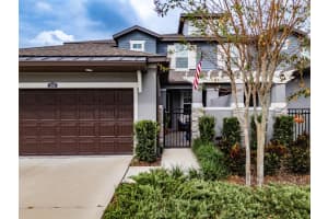 248 VILLA LUNA LANE, LUTZ, FL 33549 Sold 03/03/25