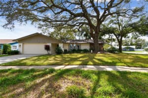 3041 CASCADE DRIVE, CLEARWATER, FL 33761 Sold 01/06/25