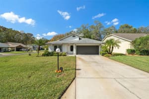 11525 PEAR TREE DRIVE, NEW PORT RICHEY, FL 34654 Sold 01/09/25