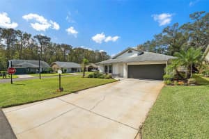 11525 PEAR TREE DRIVE, NEW PORT RICHEY, FL 34654 Sold 01/09/25