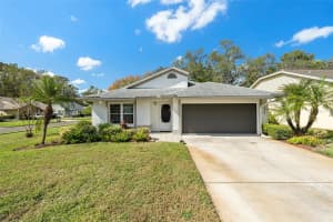 11525 PEAR TREE DRIVE, NEW PORT RICHEY, FL 34654 Sold 01/09/25