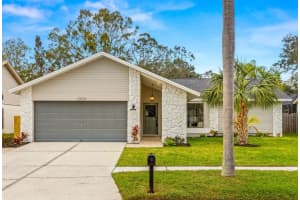 11924 STEPPINGSTONE BOULEVARD, TAMPA, FL 33635 Sold 12/31/24