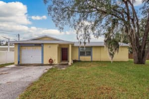 10006 CONNECHUSETT ROAD, TAMPA, FL 33617 Sold 12/18/24