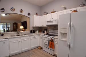 10339 MOSHIE LANE, SAN ANTONIO, FL 33576 Sold 01/17/25