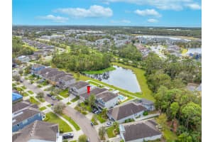 11504 QUIET FOREST DRIVE, TAMPA, FL 33635 Sold 02/19/25