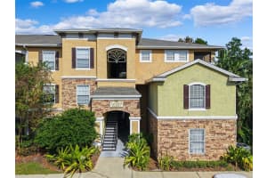 10209 COURTNEY PALMS BOULEVARD, TAMPA, FL 33619 Sold 12/20/24