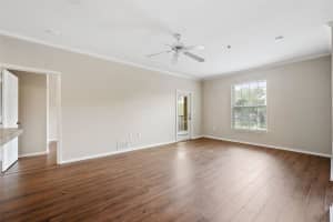 10209 COURTNEY PALMS BOULEVARD, TAMPA, FL 33619 Sold 12/20/24