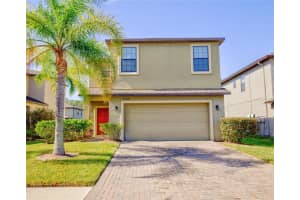 20028 Satin Leaf Ave, TAMPA