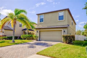 20028 SATIN LEAF AVENUE, TAMPA, FL 33647 - MLS#MFRTB8318573