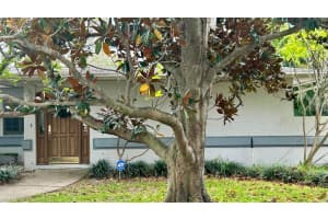 386 BAYVIEW DRIVE, SAINT PETERSBURG, FL 33704 Sold 12/17/24