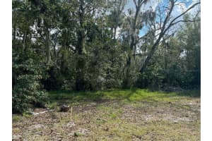 0 KOLB PLACE, HUDSON, FL 34667 - MLS#MFRTB8318616