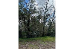 0 KOLB PLACE, HUDSON, FL 34667 - MLS#MFRTB8318616