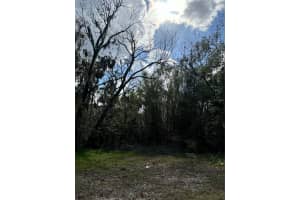 0 KOLB PLACE, HUDSON, FL 34667 - MLS#MFRTB8318616