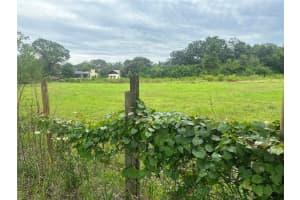 9811 OSCEOLA DRIVE, NEW PORT RICHEY, FL 34654 Sold 02/07/25