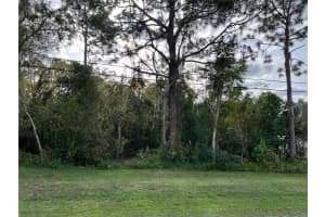 MLS# MFRTB8318934, New Port Richey, Florida 34654