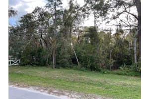 MLS# MFRTB8318934, New Port Richey, Florida 34654