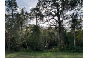 MLS# MFRTB8318934, New Port Richey, Florida 34654