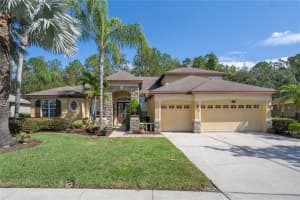 16750 IVY LAKE DRIVE, ODESSA, FL 33556 Sold 01/31/25