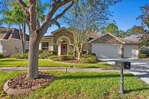 16183 COLCHESTER PALMS DRIVE, TAMPA, FL 33647 Sold 04/04/25