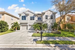 3393 CLARINE WAY, DUNEDIN, FL 34698 Sold 01/11/25