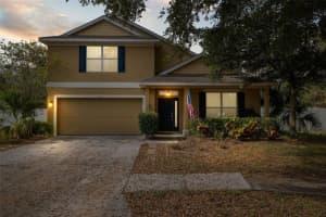 11701 COLONY LAKES BOULEVARD, NEW PORT RICHEY, FL 34654 Sold 04/10/25