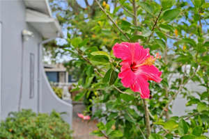 860 25TH AVENUE, ST PETERSBURG, FL 33704 Sold 06/06/25