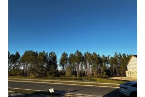 35298 BIG HAWK DRIVE, ZEPHYRHILLS, FL 33541 Sold 06/20/25