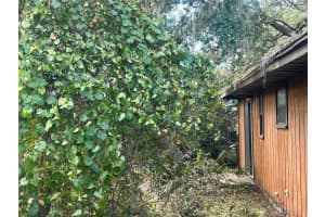 6803 ENGLEWOOD AVENUE, TAMPA, FL 33611 Sold 03/10/25