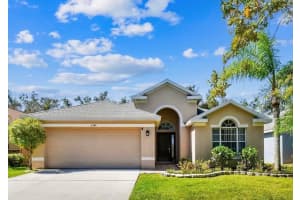 11342 CYPRESS RESERVE DR., TAMPA, FL 33626 Sold 03/11/25