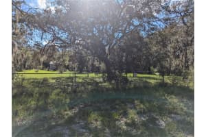 17410 MAGGIE CT, SPRING HILL, FL 34610 Sold 12/17/24