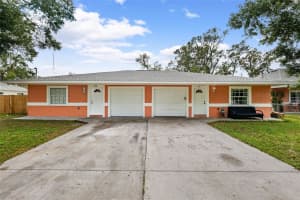 3332 HEITER STREET, TAMPA, FL 33607 - MLS#MFRTB8319257