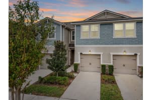 11676 CAMBIUM CROWN DRIVE, RIVERVIEW, FL 33569 Sold 02/06/25