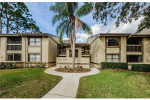 220 WOODLAKE WYNDE #220, OLDSMAR, FL 34677 Sold 03/25/25
