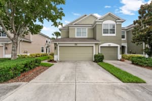 10217 RED CURRANT COURT, RIVERVIEW, FL 33578 Sold 03/14/25