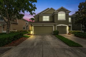 10217 RED CURRANT COURT, RIVERVIEW, FL 33578 Sold 03/14/25