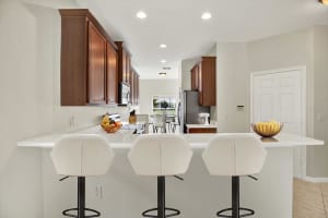 20208 WATER HICKORY PLACE, TAMPA, FL 33647 Sold 12/27/24