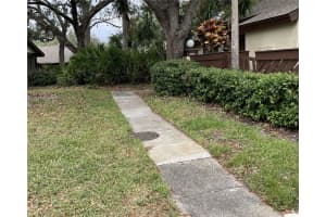 2953 YUCCA COURT, PALM HARBOR, FL 34684 Sold 03/24/25