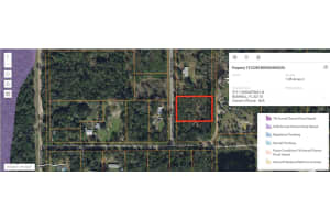 3111 SASSAFRAS LANE, BUNNELL, FL 32110 Sold 08/20/25