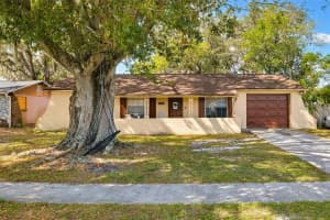 8255 GREENLEAF CIRCLE, TAMPA, FL 33615 Sold 03/04/25