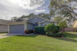 11111 INDIAN OAKS DRIVE, TAMPA, FL 33625 Sold 02/13/25