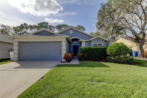 11111 INDIAN OAKS DRIVE, TAMPA, FL 33625 Sold 02/13/25