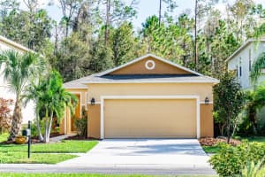 27100 STILLBROOK DRIVE, WESLEY CHAPEL, FL 33544 Sold 12/06/24