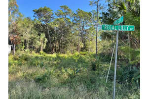7897 STUART LANE, HOMOSASSA, FL 34448 - MLS#MFRTB8319642