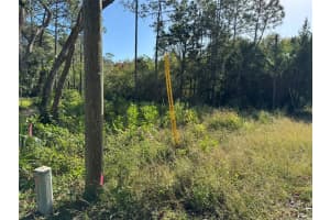 7897 STUART LANE, HOMOSASSA, FL 34448 - MLS#MFRTB8319642