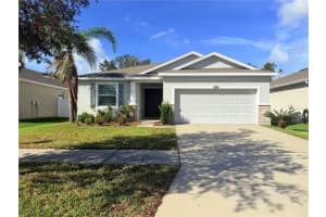 10436 SCENIC HOLLOW DRIVE, RIVERVIEW, FL 33578 Sold 02/19/25