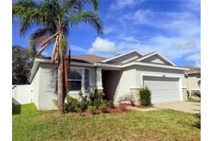 10436 SCENIC HOLLOW DRIVE, RIVERVIEW, FL 33578 Sold 02/19/25
