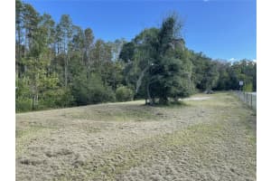 7428 SAINT JOHNS ROAD, LAND O LAKES, FL 34638 - MLS#MFRTB8319722