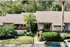 2920 Star Apple Ct, PALM HARBOR