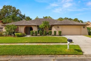 14116 HOLLINGFARE PLACE, TAMPA, FL 33624 Sold 12/27/24